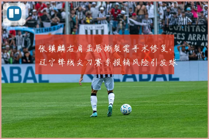 张镇麟右肩盂唇撕裂需手术修复,辽宁锋线尖刀赛季报销风险引发球迷担忧