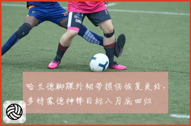 哈兰德脚踝外韧带损伤恢复良好，多特蒙德神锋目标八月底回归