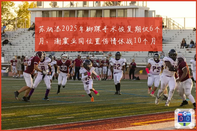 苏炳添2025年脚踝手术恢复期仅6个月,谢震业同位置伤情休战10个月形成反差