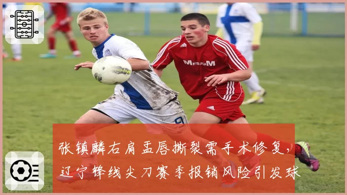 张镇麟右肩盂唇撕裂需手术修复,辽宁锋线尖刀赛季报销风险引发球迷担忧