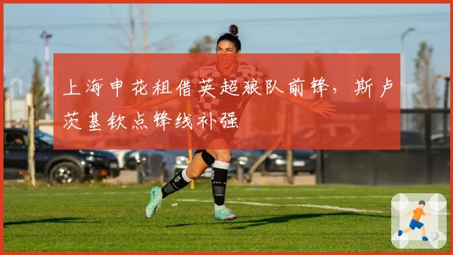 上海申花租借英超狼队前锋,斯卢茨基钦点锋线补强