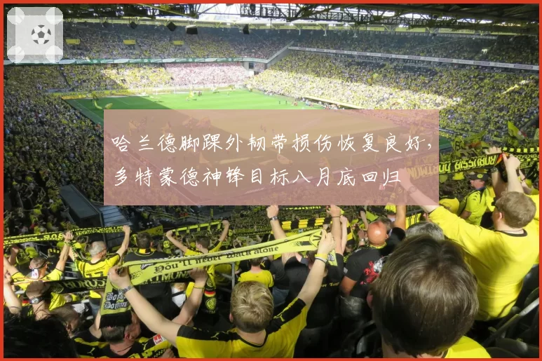 哈兰德脚踝外韧带损伤恢复良好，多特蒙德神锋目标八月底回归